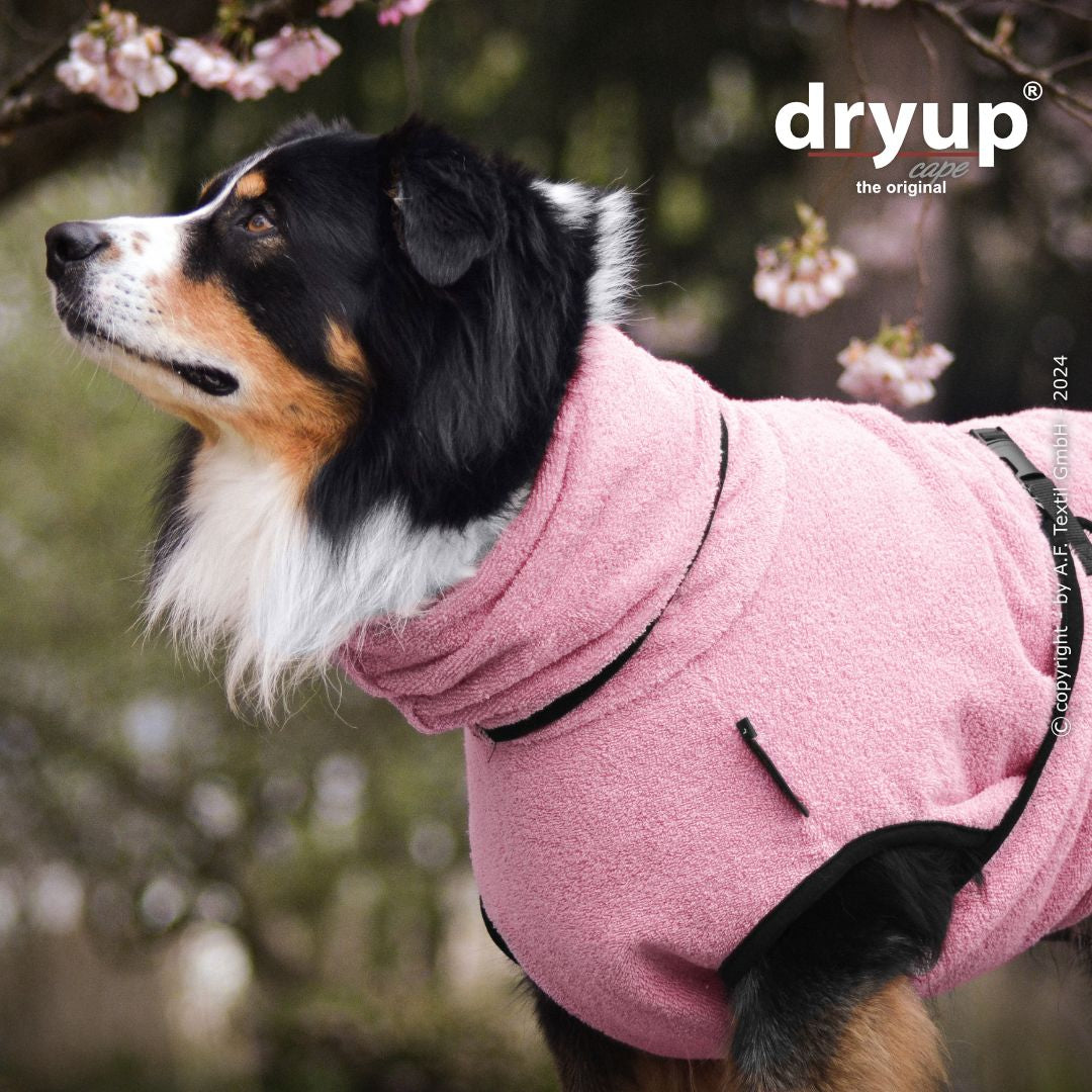 Dryup cape - Rosé
